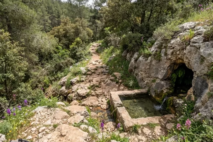 הר טייסים — אל עין טייסים